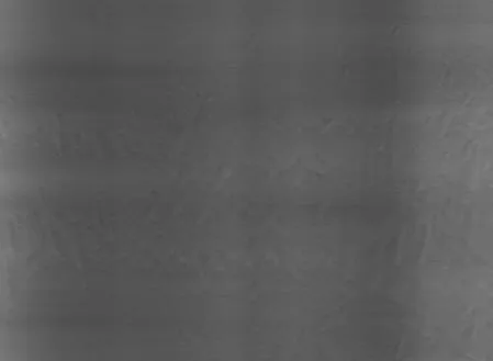 Blister defect sample from corrugated production